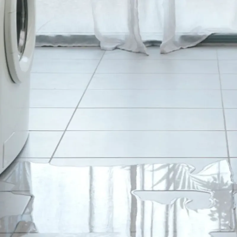 Appliance Leak Cleanup in Shamrock, TX