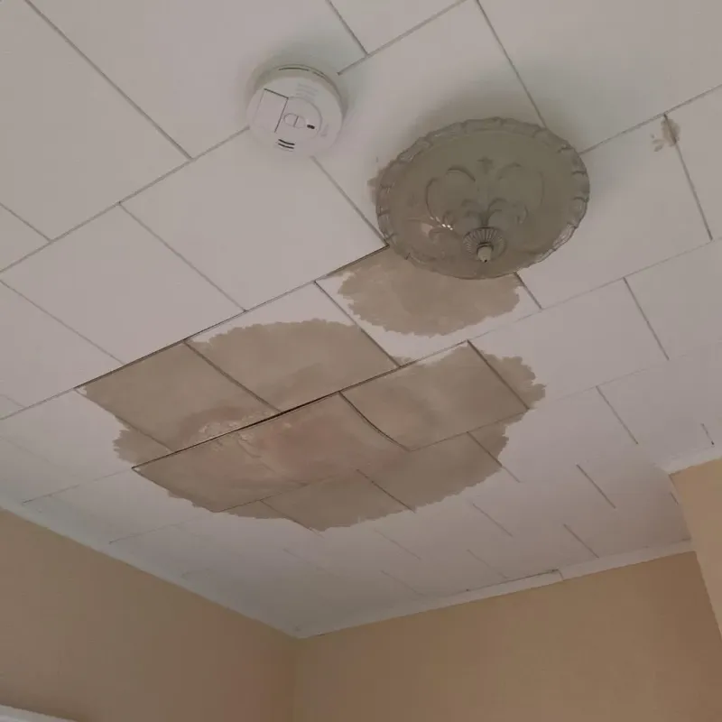 Ceiling Water Damage Repair in Shamrock, TX