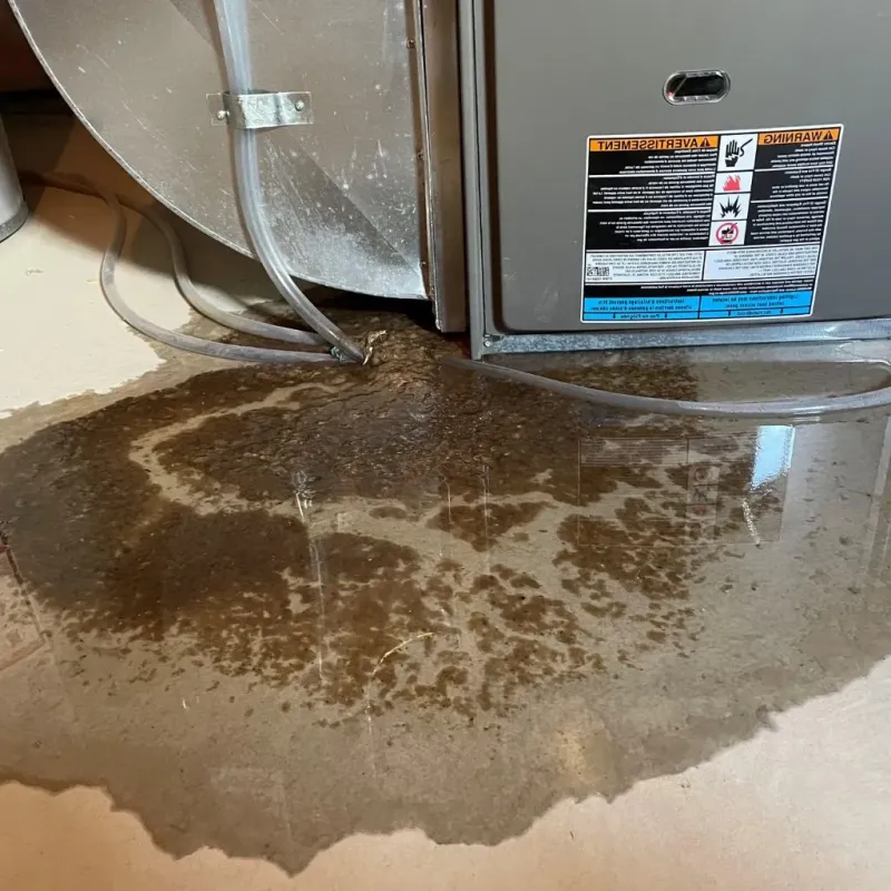 Pipe Burst and Leak Restoration in Shamrock, TX