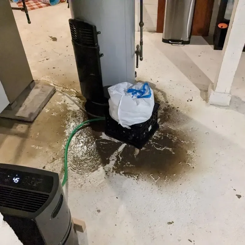 Sewage Backup Cleanup Service in Shamrock, TX
